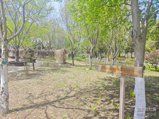 沈陽市園林植物標本園行行攝攝活動回顧