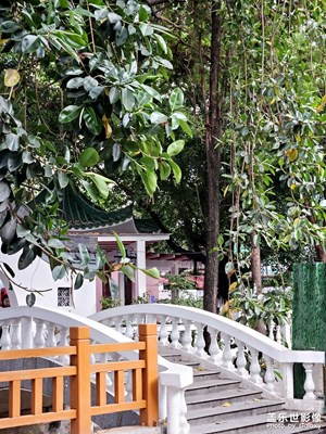 【拍有創(chuàng)意】隨便走走