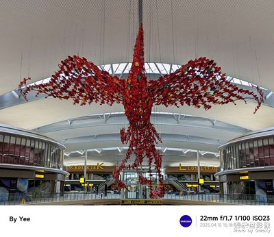 【拍有創(chuàng)意】+鳳弈天翔，江北機(jī)場(chǎng)