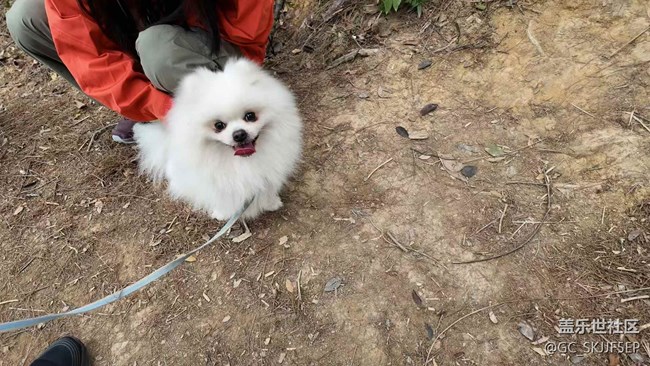 【日常的變遷】山林徒步，邂逅自然之美