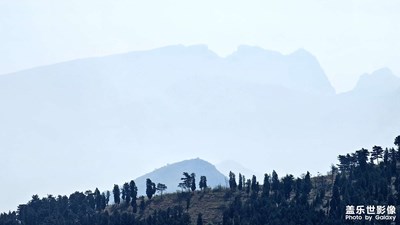 【拍有創(chuàng)意】青蘿山