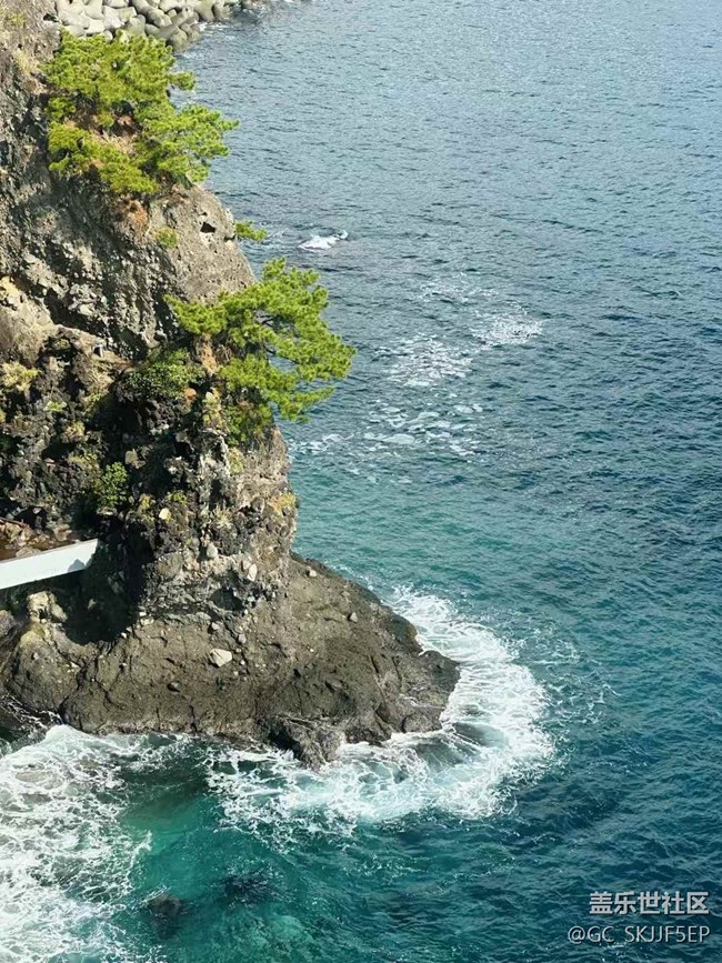 【春光爛漫ing】春日海濱，邂逅美好