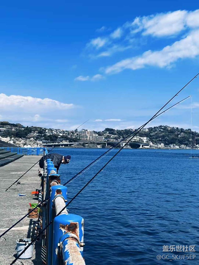 【春光爛漫ing】春日海濱，邂逅美好