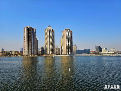 【拍有創(chuàng)意】+海鷗之約