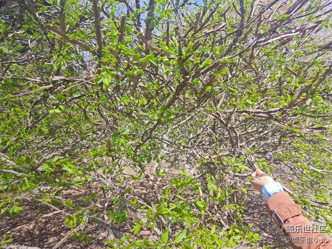 沈陽市園林植物標本園行行攝攝活動回顧