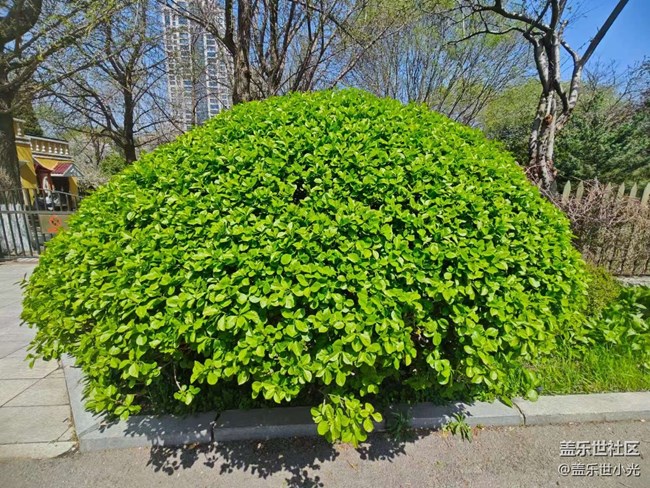 沈陽市園林植物標本園行行攝攝活動回顧