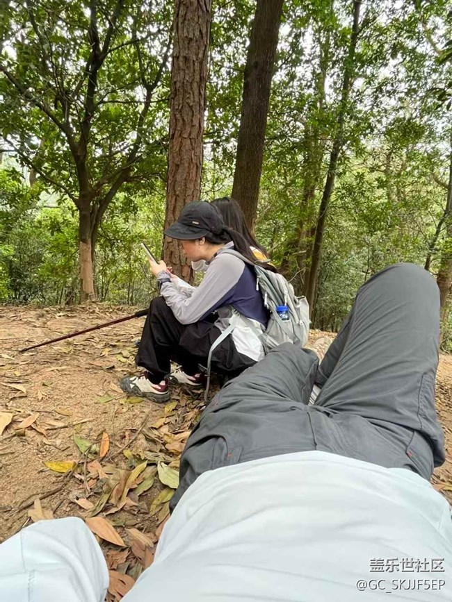 【日常的變遷】山林徒步，邂逅自然之美