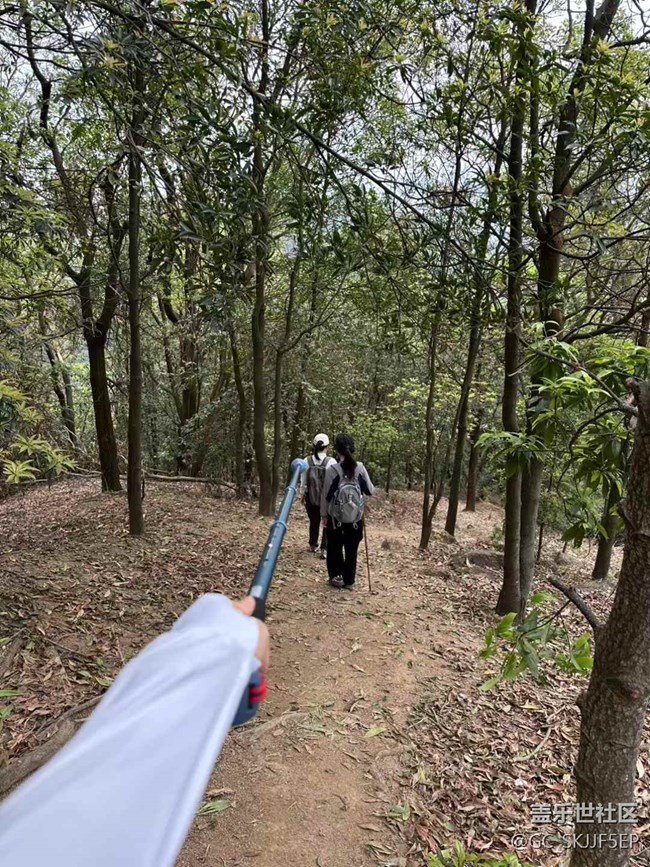 【日常的變遷】山林徒步，邂逅自然之美