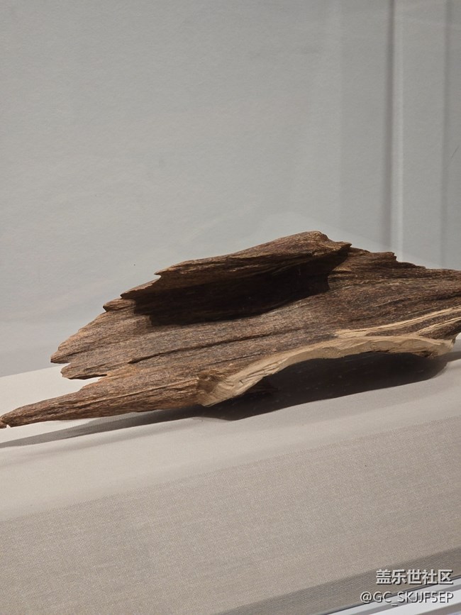 【三星鏡頭下的非遺】探尋非遺瑰寶，領(lǐng)略嶺南風(fēng)情