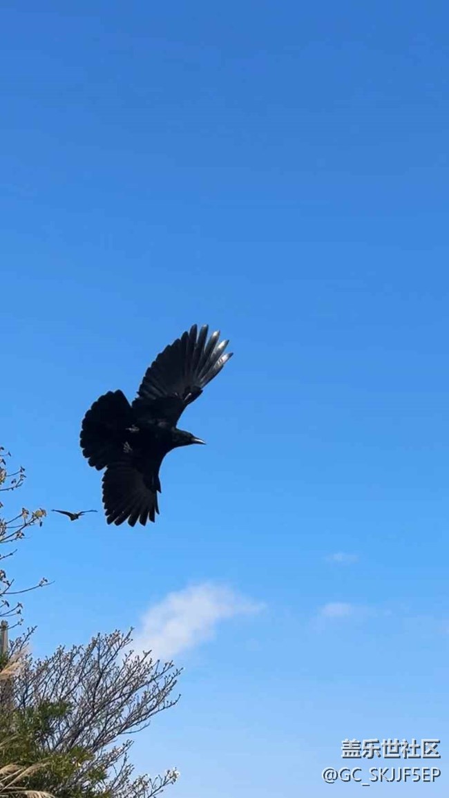 【春光爛漫ing】春日海濱，邂逅美好