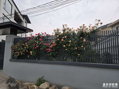 【拍有創(chuàng)意】隨手拍記錄