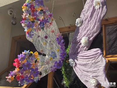 【拍有創(chuàng)意】+漂亮裝飾