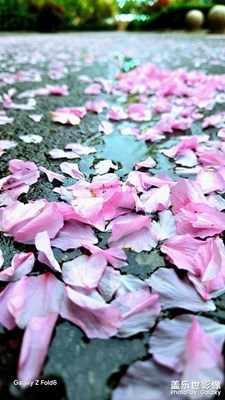 [拍有創(chuàng)意]+休閑晨拍