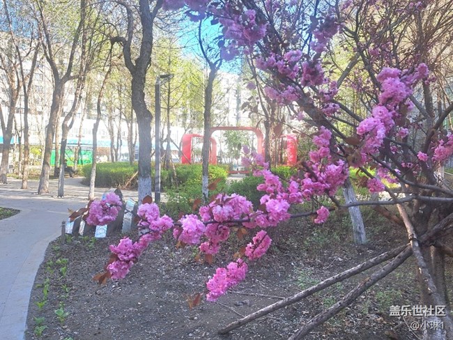 【春風(fēng)得意時(shí)】一年之計(jì)在于春