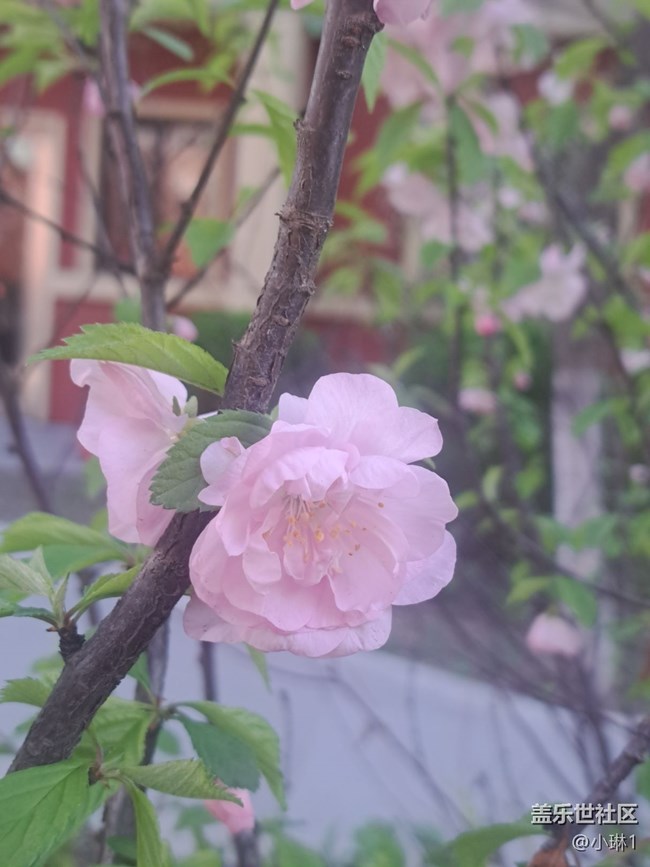 【春風(fēng)得意時(shí)】一年之計(jì)在于春