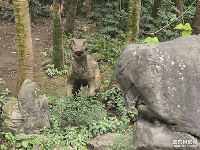 【拍有創(chuàng)意】+恐龍模型