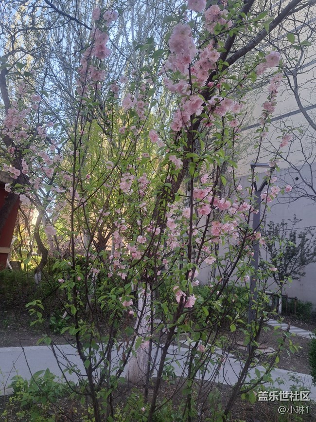 【春風(fēng)得意時(shí)】一年之計(jì)在于春