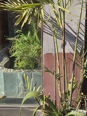 【拍有創(chuàng)意】+好時光