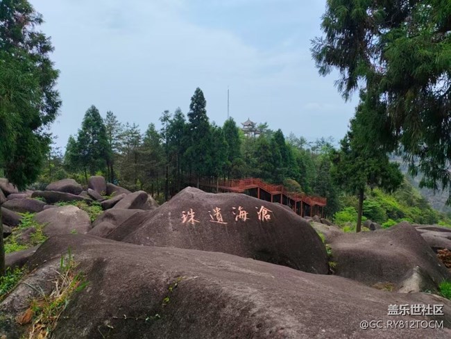 【Galaxy影像】#踏青+看山