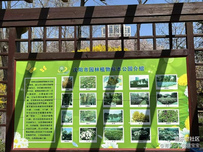 園林植物標(biāo)本公園游記回顧貼