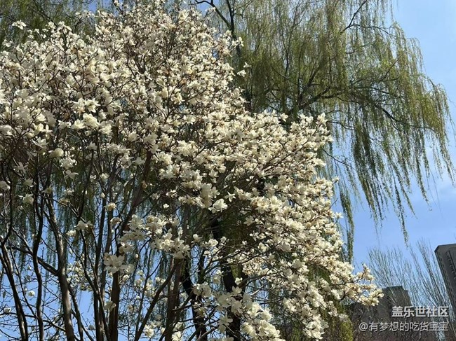 園林植物標(biāo)本公園游記回顧貼