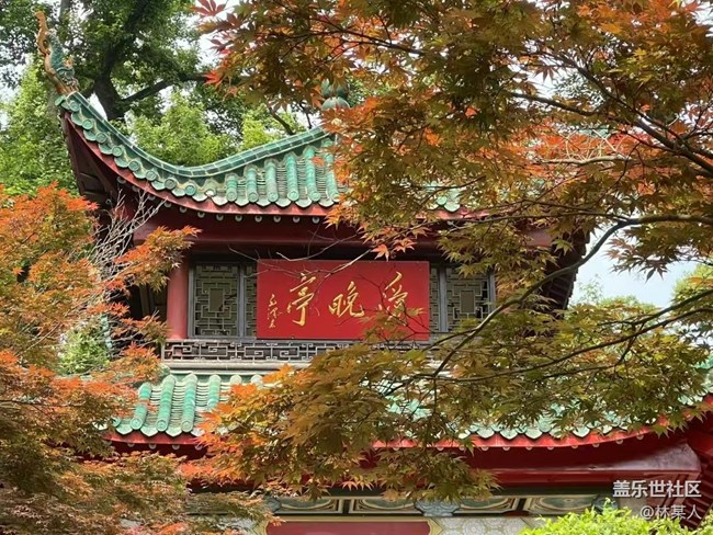 【Galaxy影像】#踏青+岳麓山.愛晚亭