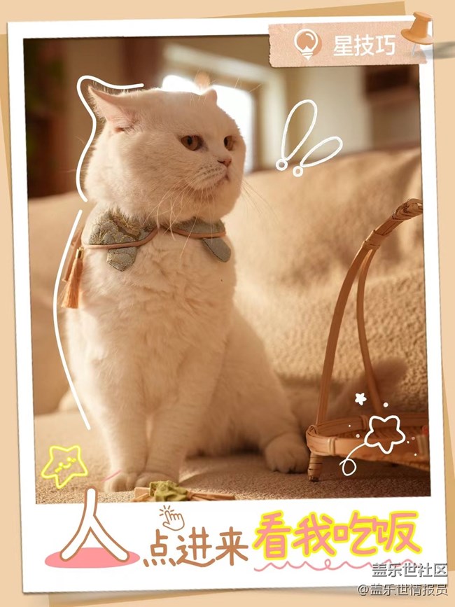 別著急劃走，讓貓咪治愈你60秒