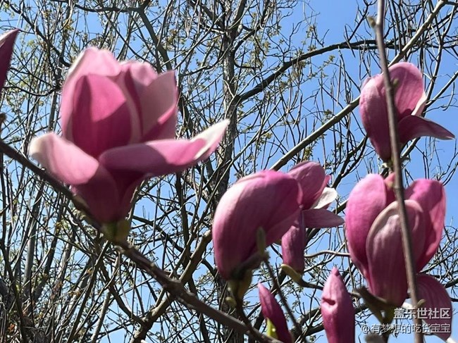 園林植物標(biāo)本公園游記回顧貼