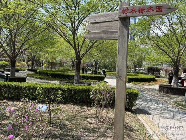 園林植物標(biāo)本公園游記回顧貼
