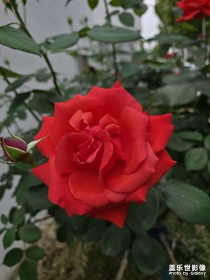 兩億像素的效果