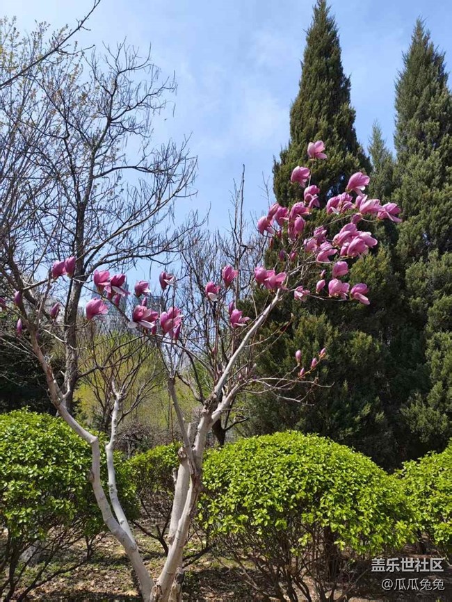 【沈陽星部落】園林植物標本公園游記回顧貼