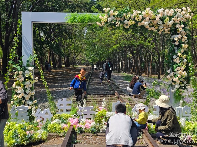 【拈花拾趣】春天