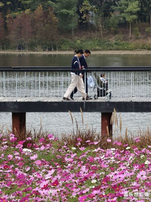 【市井長巷】走過你來時的路