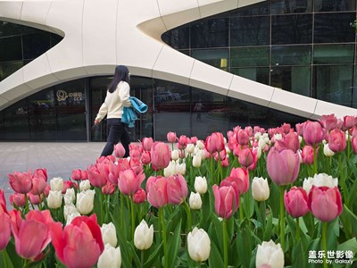 【市井長街】+隨拍