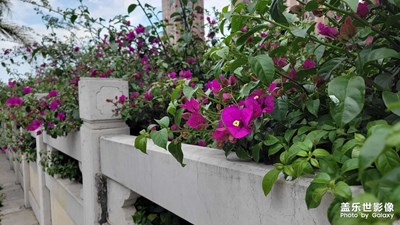 【市井長(zhǎng)巷】城市風(fēng)景