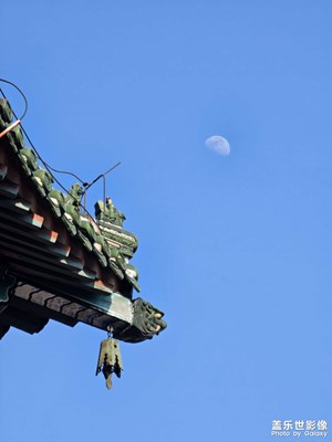 S23U 攝影還是很能打的