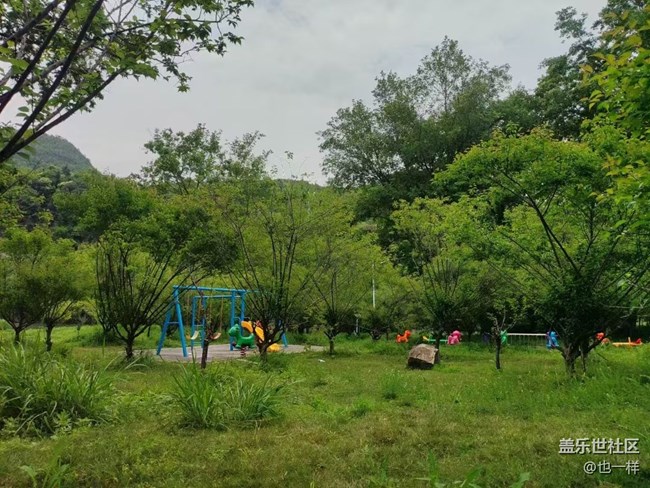 【春色撩人】野餐