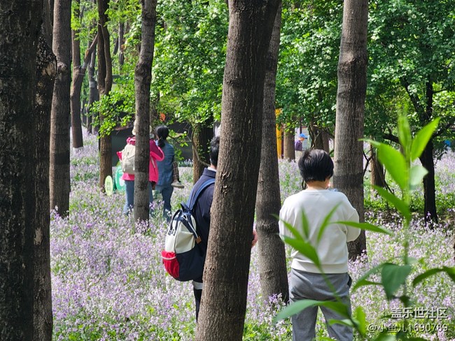 【拈花拾趣】春日出游