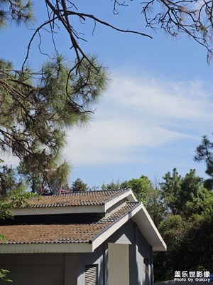 【市井長巷】自然氣息