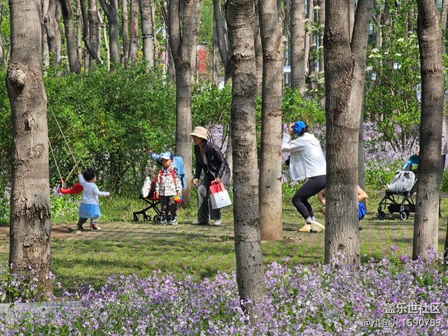 【拈花拾趣】春日出游