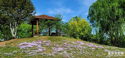 山桃煙柳翠，花開香滿屋。