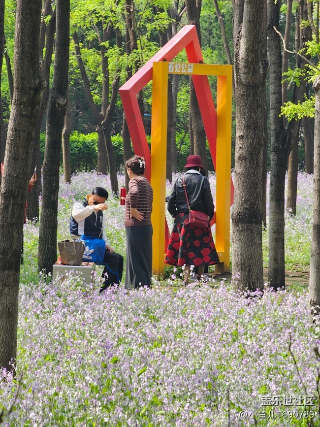 【拈花拾趣】春日出游