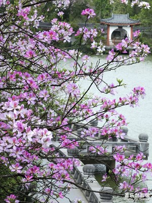 【市井長巷】山水施粉黛