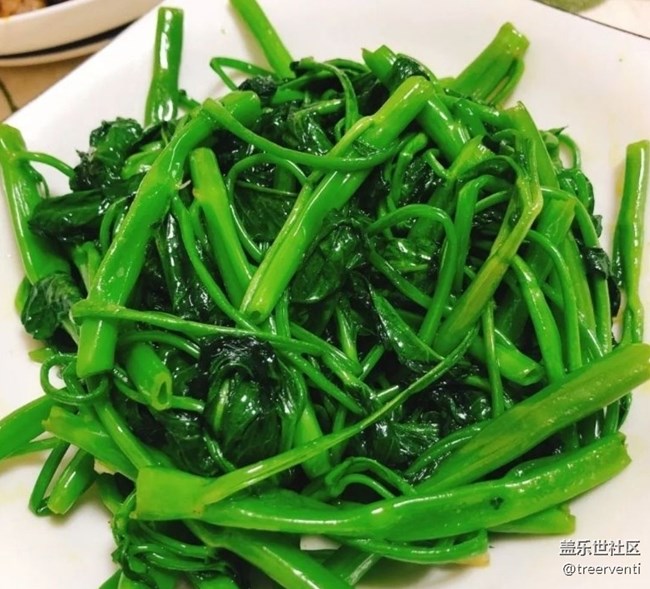 【春色可餐】清炒空心菜