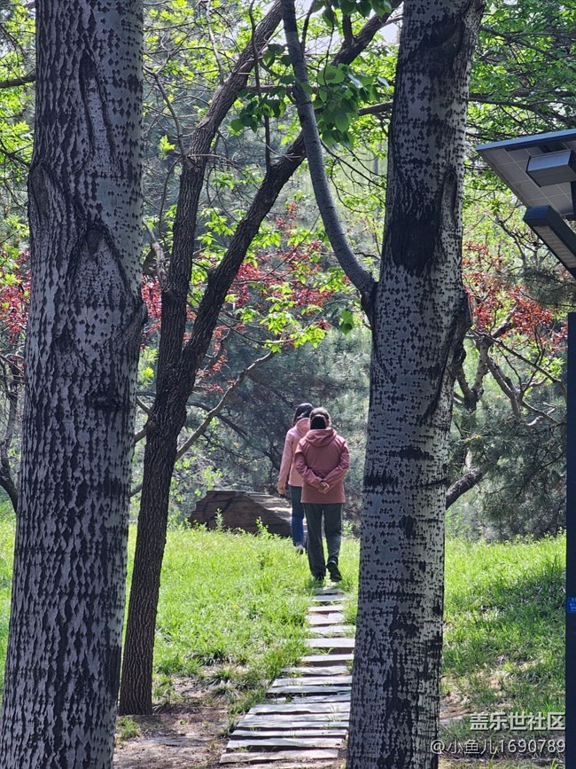 【拈花拾趣】春日出游