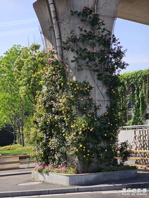 【市井長(zhǎng)巷】隨處的風(fēng)景