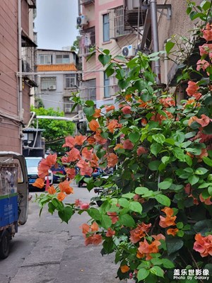 【市井長巷】周末出門隨拍