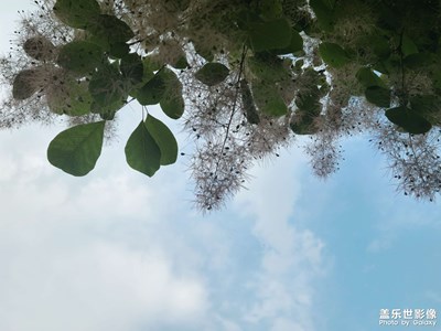 【市井長巷】+隨便逛逛