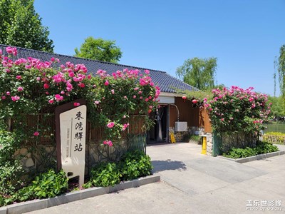 【市井長巷】+公園隨拍