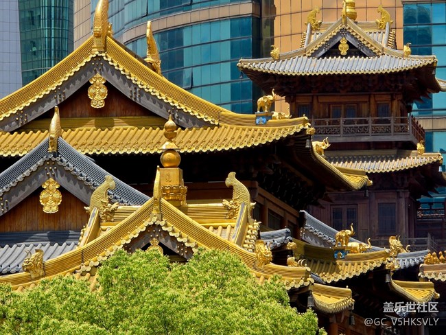 【靜安寺citywalk線下攝影活動(dòng)】+邊走邊拍